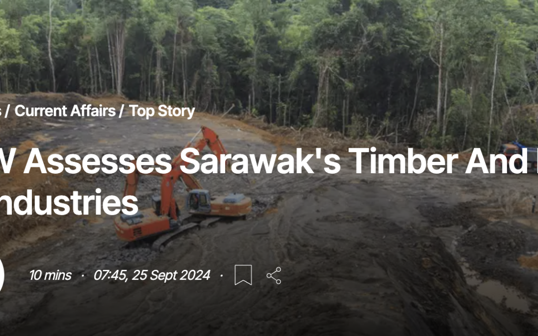 HRW Assesses Sarawak’s Timber And Palm Oil Industries